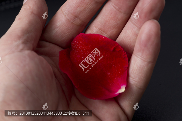 手心里的花瓣