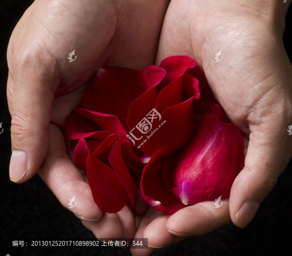 手捧花瓣