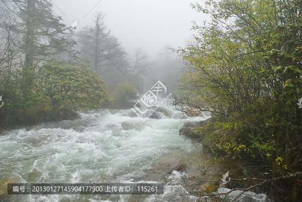山澗霧蒙蒙