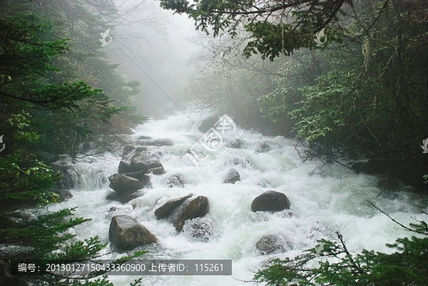 山澗溪水