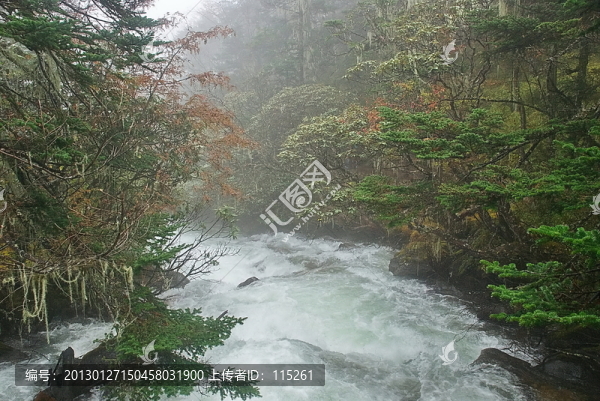 j激流河灘