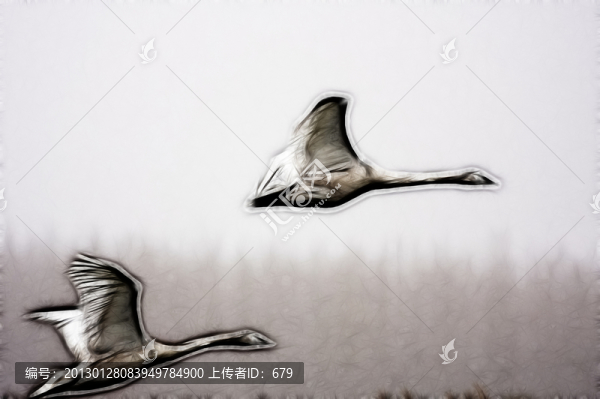 飛向夢(mèng)想