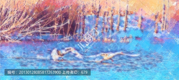 起飛的天鵝