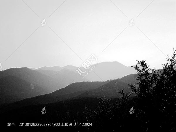黑白色彩