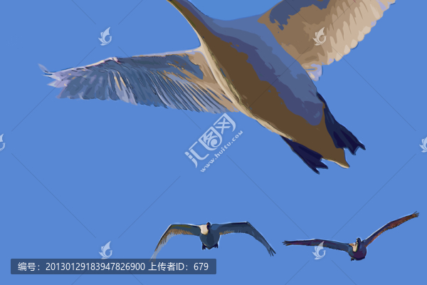 自由的天空