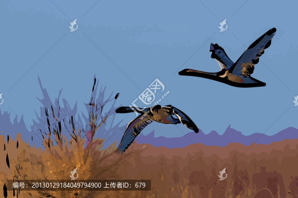 天鵝