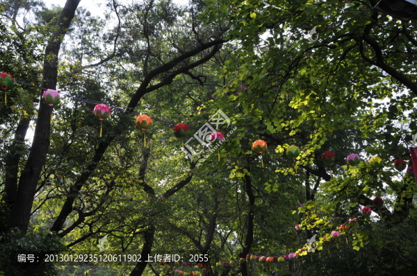 春節(jié)燈會,燈籠