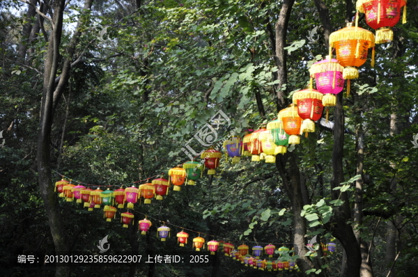 春節(jié)燈會,燈籠