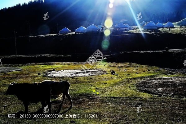 牧場早晨