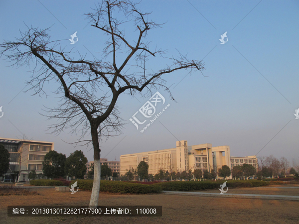 冬季的校園