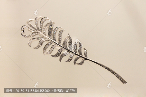 羽毛胸花
