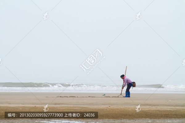 海灘耙螺