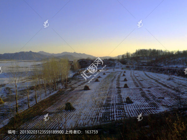 有雪的愛河玉米地