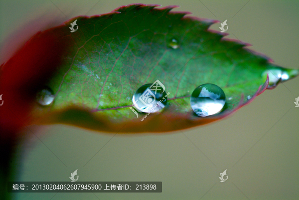 水滴