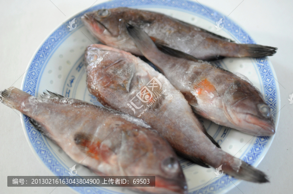 石斑魚