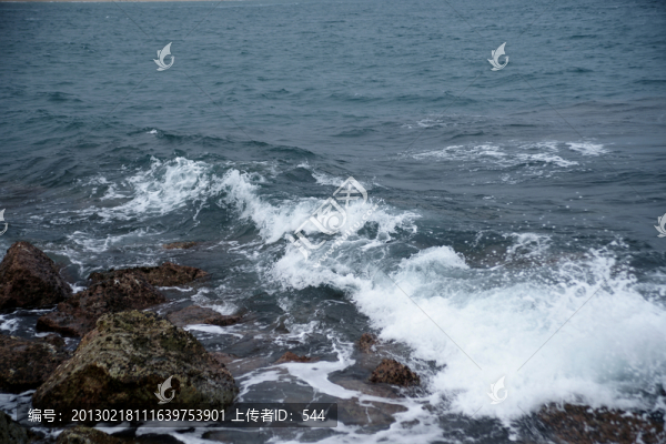 大海