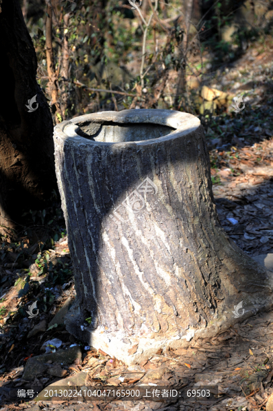 樹根垃圾桶