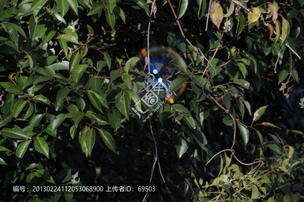 肥皂泡