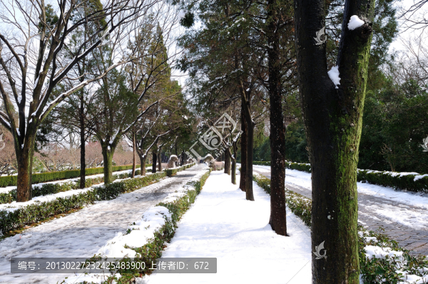 明孝陵雪景