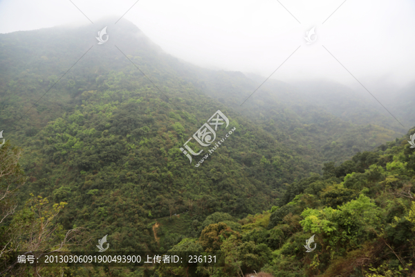 梧桐山