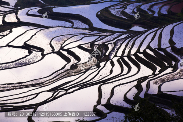 云南元陽(yáng)梯田
