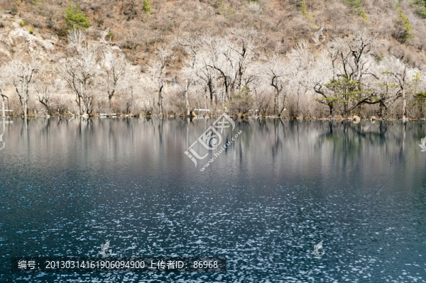 九寨溝的水