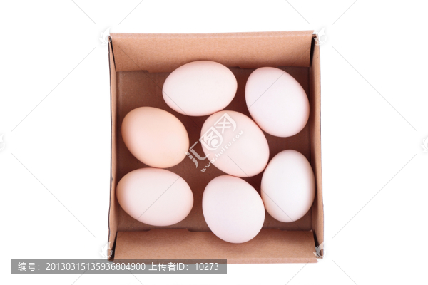 紙盒子里的雞蛋