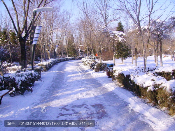 雪景