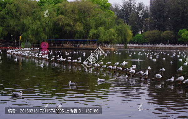 翠湖公園
