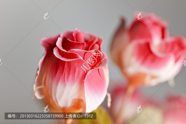 絹花