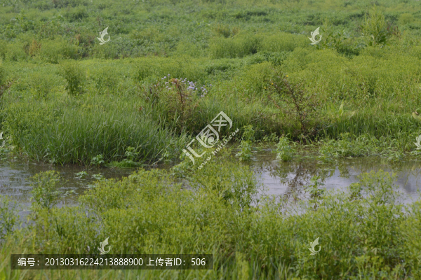 濕地