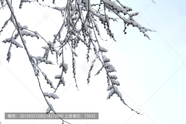 雪天霧凇