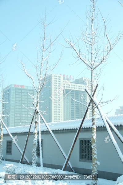 雪景辦公樓建筑