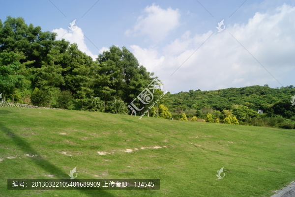 深圳寶安公園的草坪