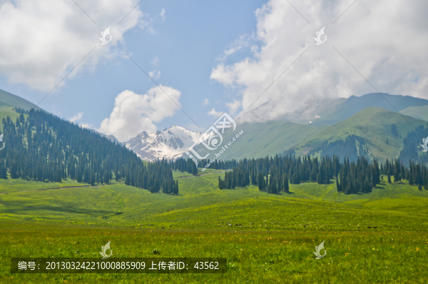 草原風(fēng)光