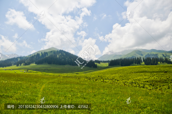 草原風光