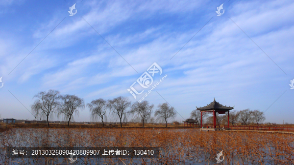 春天風(fēng)景