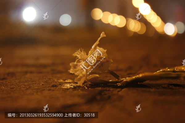 磚面上的花