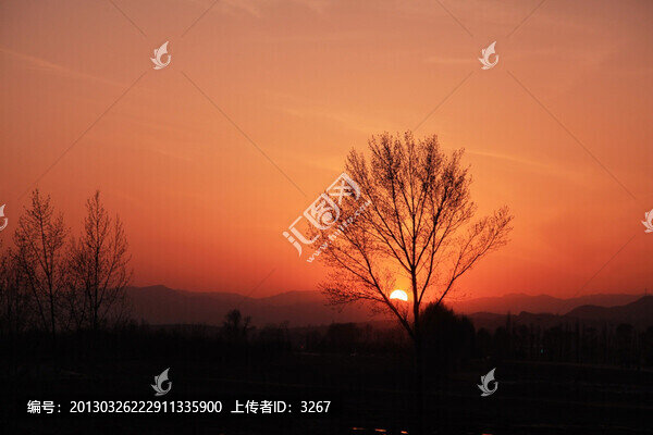 夕陽