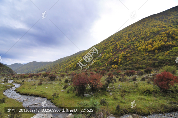 甘肅山區(qū)景觀