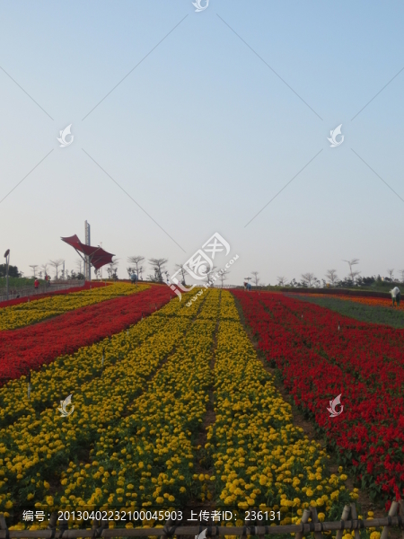 彩虹花園