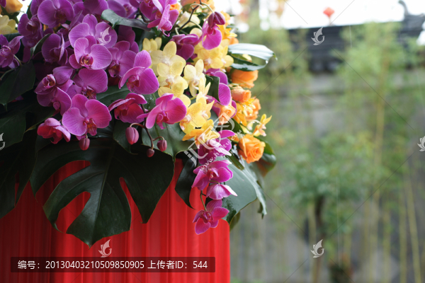 花柱