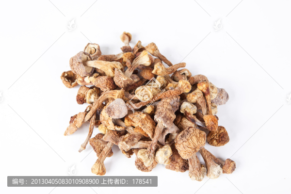 松茸