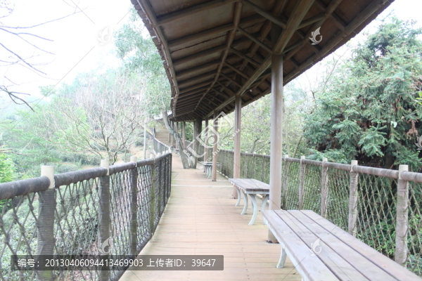 公園景觀,走廊