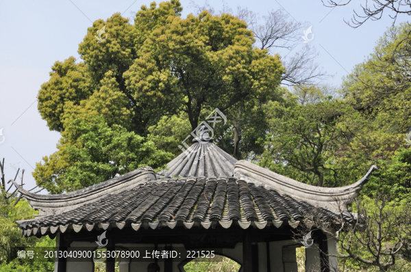 蘇州拙政園之春