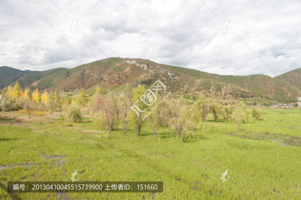 云南瀘沽湖濕地風景