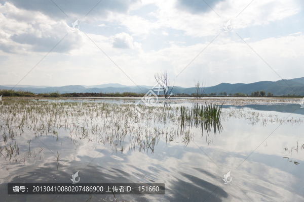 云南麗江拉市海濕地風(fēng)景