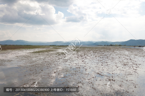 云南麗江拉市海濕地風(fēng)景