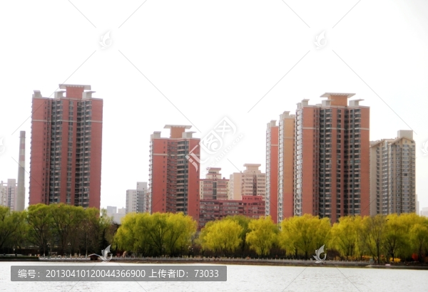 湖邊柳樹和住宅樓