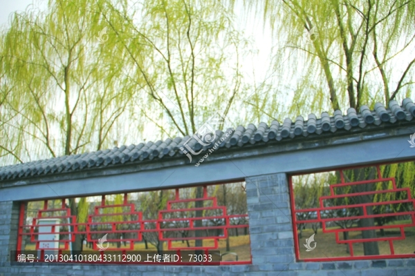 院墻和柳樹